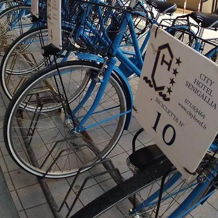 City Hotel سينِغاليا