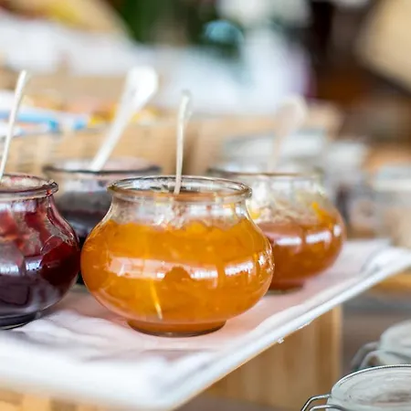 فندق City Hotel سينِغاليا